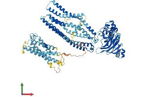 AlphaFold protein structure predicition of Mouse Recombinant Abcb6 Protein, UniprotID Q9DC29