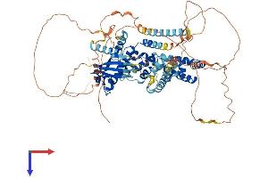 AlphaFold protein structure predicition of Mouse Recombinant Satb1 Protein, UniprotID Q60611
