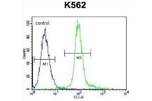 Flow Cytometry (FACS) image for anti-Glomulin, FKBP Associated Protein (GLMN) antibody (ABIN2996511) (GLMN anticorps)