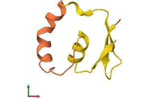 AlphaFold protein structure predicition of Human Recombinant LINC00310 Protein, UniprotID P59036