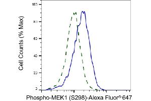 Validation of MEK1 knockdown using flow cytometry. (Recombinant MEK1 anticorps  (pSer298))