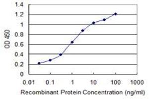 Detection limit for recombinant GST tagged PER2 is 0. (PER2 anticorps  (AA 1-100))
