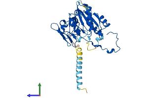 AlphaFold protein structure predicition of Mouse Recombinant B3gat1 Protein, UniprotID Q9CW73