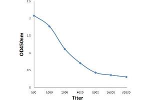 Antigen: 0. (IGSF9 anticorps)