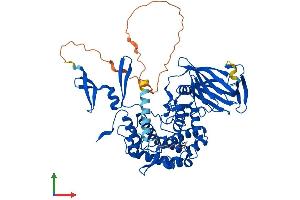 AlphaFold protein structure predicition of Human Recombinant GLCE Protein, UniprotID O94923
