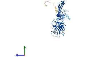 AlphaFold protein structure predicition of Mouse Recombinant Trim69 Protein, UniprotID Q80X56