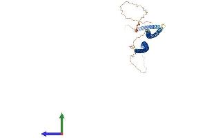 AlphaFold protein structure predicition of Mouse Recombinant Krt40 Protein, UniprotID Q6IFX3