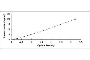 Typical standard curve (AICDA Kit ELISA)