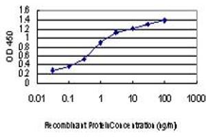 Detection limit for recombinant GST tagged KSR2 is approximately 0.