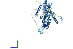 AlphaFold protein structure predicition of Mouse Recombinant Cds1 Protein, UniprotID P98191