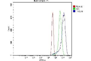 Flow Cytometry analysis of MCF-7 cells using anti-TYK2 antibody (ABIN7602085). (TYK2 anticorps  (AA 581-719))