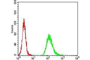 Flow Cytometry (FACS) image for anti-Neurofilament Triplet M Protein (NEFM) (AA 779-916) antibody (ABIN5872897) (NEFM anticorps  (AA 779-916))