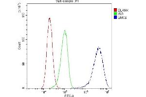 Flow Cytometry analysis of A431 cells using anti-SMC6L1 antibody (ABIN5693133). (SMC6 anticorps  (AA 205-443))