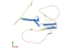 AlphaFold protein structure predicition of Mouse Recombinant Hey2 Protein, UniprotID Q9QUS4