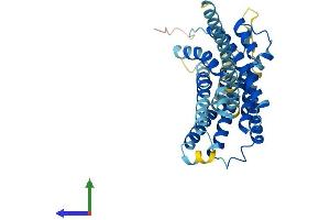 AlphaFold protein structure predicition of Human Recombinant LPAR6 Protein, UniprotID P43657