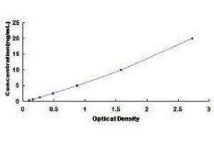 ELISA image for Nuclear Factor of kappa Light Polypeptide Gene Enhancer in B-Cells 2 (NFKB2) ELISA Kit (ABIN417750)