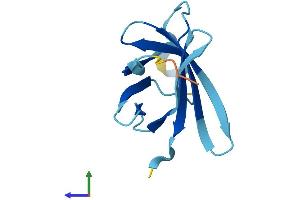 AlphaFold protein structure predicition of Mouse Recombinant Mtcp1 Protein, UniprotID Q60945
