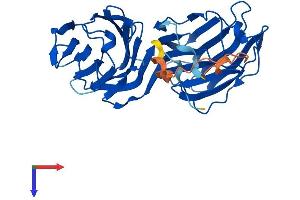 AlphaFold protein structure predicition of Mouse Recombinant Lgals4 Protein, UniprotID Q8K419