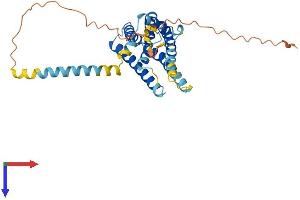 AlphaFold protein structure predicition of Human Recombinant YIF1B Protein, UniprotID Q5BJH7