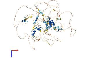 AlphaFold protein structure predicition of Human Recombinant TSHZ3 Protein, UniprotID Q63HK5