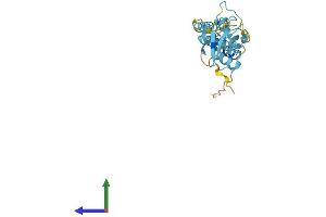 AlphaFold protein structure predicition of Human Recombinant UBTD1 Protein, UniprotID Q9HAC8