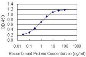 Detection limit for recombinant GST tagged CAGE1 is 0. (CAGE1 anticorps  (AA 2-100))