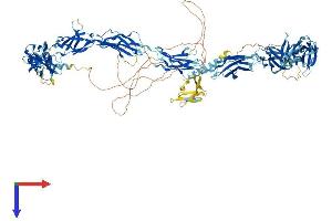 AlphaFold protein structure predicition of Mouse Recombinant Fndc3b Protein, UniprotID Q6NWW9