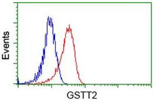HEK293T cells transfected with either RC200040 overexpress plasmid (Red) or empty vector control plasmid (Blue) were immunostained by anti-GSTT2 antibody (ABIN2453097), and then analyzed by flow cytometry. (GSTT2 anticorps)