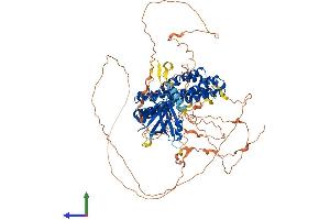 AlphaFold protein structure predicition of Mouse Recombinant Arhgef15 Protein, UniprotID Q5FWH6