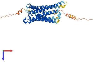 AlphaFold protein structure predicition of Human Recombinant PTGFR Protein, UniprotID P43088