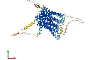 AlphaFold protein structure predicition of Human Recombinant SLC40A1 Protein, UniprotID Q9NP59
