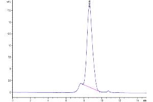 The purity of Biotinylated Human IL-18BP is greater than 95 % as determined by SEC-HPLC.