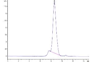 The purity of Biotinylated Human IL-18BP is greater than 95 % as determined by SEC-HPLC. (IL18BP Protein (AA 31-194) (His-Avi Tag,Biotin))