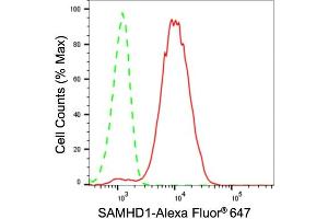 Flow cytometric analysis of SAMHD1 expression in HeLa cells using SAMHD1 antibody (ABIN7800270), 1:2,000). (Recombinant SAMHD1 anticorps)