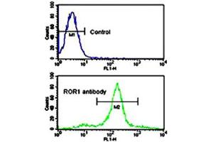 Flow cytometric analysis of NCI-H460 cells using ROR1 polyclonal antibody (bottom histogram) compared to a negative control cell (top histogram).