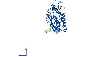 AlphaFold protein structure predicition of Mouse Recombinant Atp4b Protein, UniprotID P50992