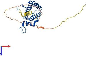 AlphaFold protein structure predicition of Mouse Recombinant Gfer Protein, UniprotID P56213