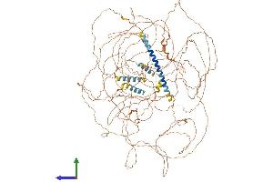 AlphaFold protein structure predicition of Mouse Recombinant Mn1 Protein, UniprotID D3YWE6