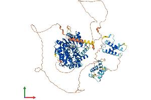 AlphaFold protein structure predicition of Mouse Recombinant Recql5 Protein, UniprotID Q8VID5