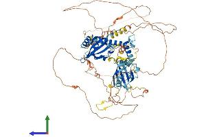 AlphaFold protein structure predicition of Mouse Recombinant Arnt2 Protein, UniprotID Q61324