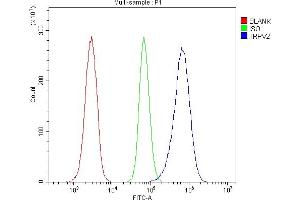 Flow Cytometry analysis of HL-60 cells using anti-VRL1/TRPV2 antibody (ABIN7602328).