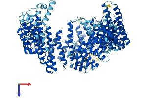 AlphaFold protein structure predicition of Human Recombinant XPOT Protein, UniprotID O43592