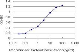 Detection limit for recombinant GST tagged MVD is approximately 0.