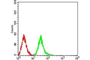 Flow cytometric analysis of Jurkat cells using Phospho-4E-BP1 (Ser65) mouse mAb (green) and negative control (red).