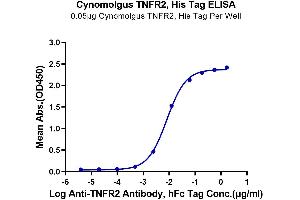 Immobilized Cynomolgus TNFR2, His Tag at 0.