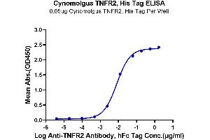 Immobilized Cynomolgus TNFR2, His Tag at 0. (TNFRSF1B Protein (AA 23-257) (His tag))