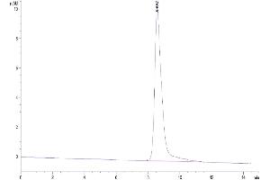 The purity of Human IL-3 is greater than 95 % as determined by SEC-HPLC.