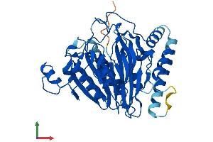 AlphaFold protein structure predicition of Mouse Recombinant Scrn2 Protein, UniprotID Q8VCA8