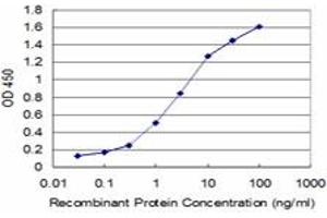 Detection limit for recombinant GST tagged HEY1 is approximately 0. (HEY1 anticorps  (AA 121-220))