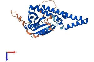 AlphaFold protein structure predicition of Human Recombinant NAT8L Protein, UniprotID Q8N9F0